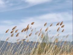 -野鸭湖国家湿地公园