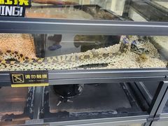 -三旗百汇商品城