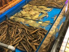 水产区-开海·红岛海鲜虾水饺(石老人店)