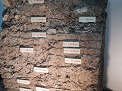 -南越王博物院(王宫展区)