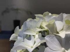 -赏清合茶文化艺术体验馆(百瑞景店)