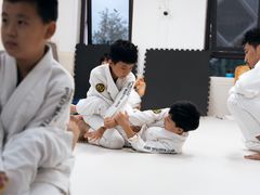 -菠萝格斗巴西柔术训练馆