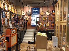 -柏斯琴行(汾阳店)