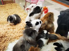 -鹏欣水游城
