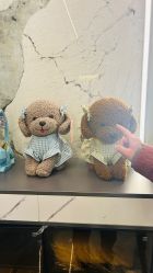 -新蝶变皮肤管理中心