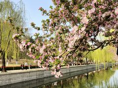 -元大都城垣遗址公园