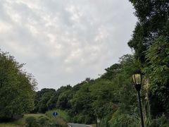 -宝界山林公园