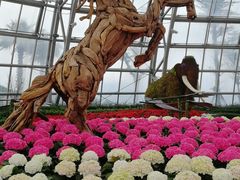 -芽庄珍珠岛游乐园