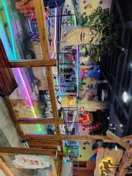 点击看大图 -卡通尼·Safari非洲探索乐园·生日会(金桥国际商业广场店)