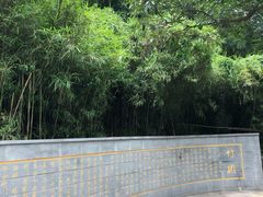 -菊花台公园