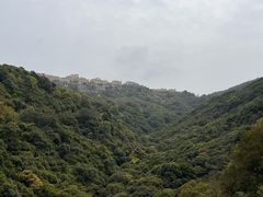 -东部华侨城