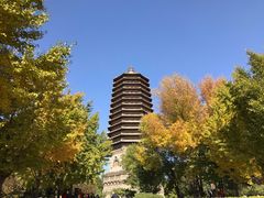 -玲珑塔公园