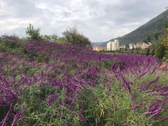 -华侨城阳宗海海景温泉