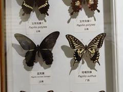 -中国湿地博物馆