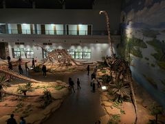 -自贡恐龙博物馆