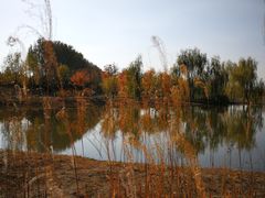-东郊湿地公园