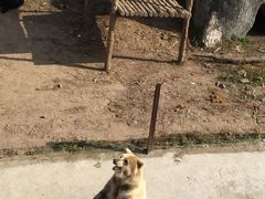 -哈尔滨北方森林动物园