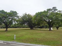 -东莞植物园