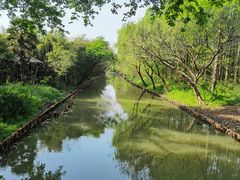 -同里国家湿地公园