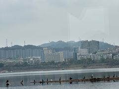 -千岛湖城中湖游船码头