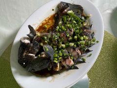 -罗浮山葛仙居菜馆