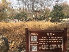 -莲湖公园