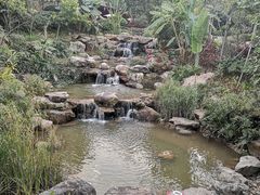 -美的鹭湖森林度假区