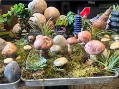 -福照楼汽锅鸡·云南菜(万达广场店)