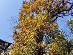 -终南山南五台景区