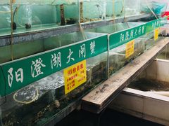 -喜洋洋蟹庄(阳澄湖店)