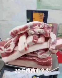 -香薇妮丝·定制减肥·身材管理