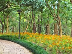 -杭州植物园