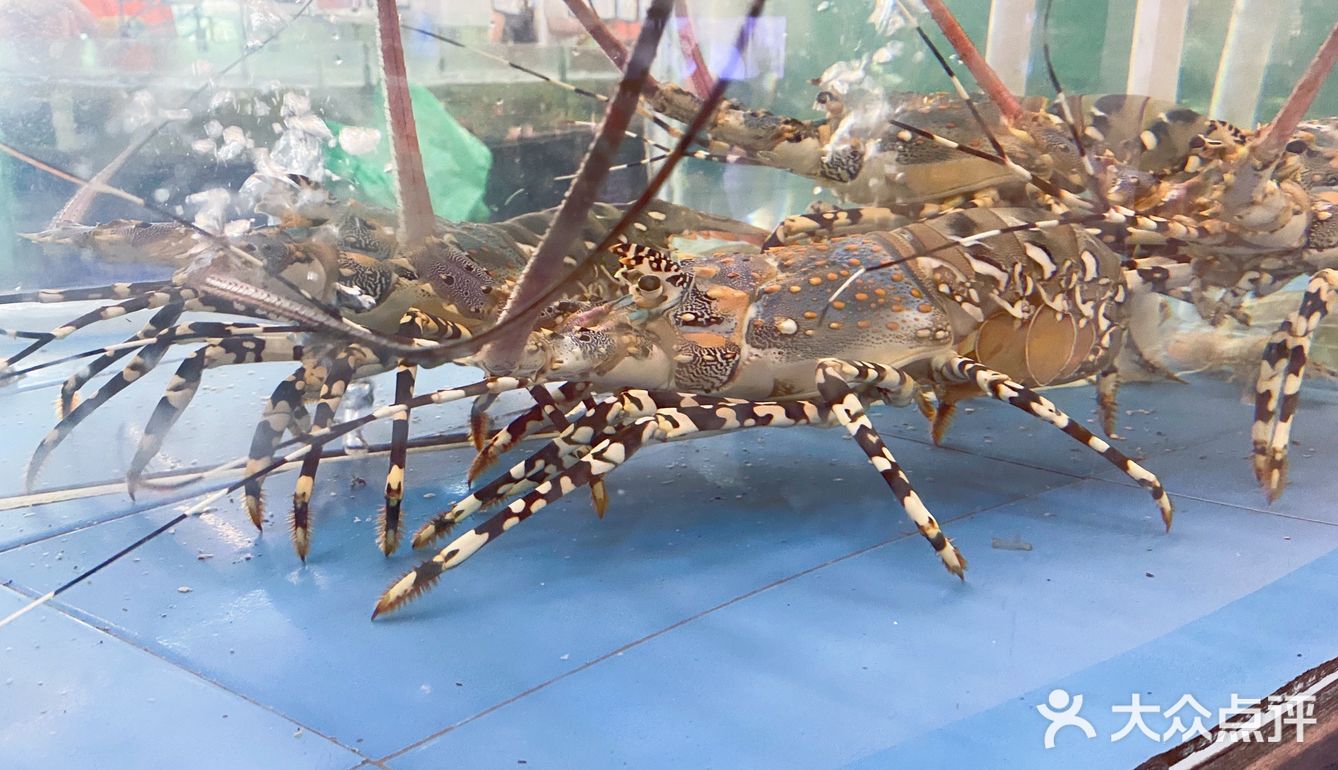 马王堆海鲜市场体验‼️好贵[流泪]
