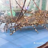 马王堆海鲜市场体验‼️好贵[流泪]