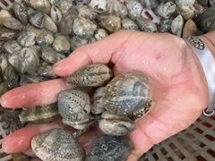 -坛南湾阿强农家乐.海鲜大排档老字号(福州地标美食店)