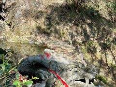 -宁波市保国寺古建筑博物馆