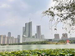 -天鹅湖体育公园