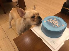 -亦家cake·0卡糖