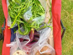 -前小桔亲子创意农场·草莓采摘·露营烧烤