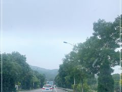 -鲁山国家森林公园