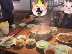 -掂档潮汕牛肉火锅(沈阳万象城店)