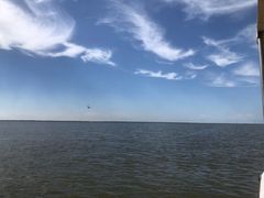 -乌梁素海景区