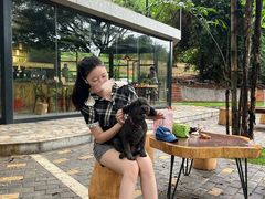 -南国桃园旅游度假区