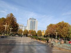 -西清公园
