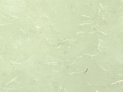 -长兴太湖图影湿地文化园