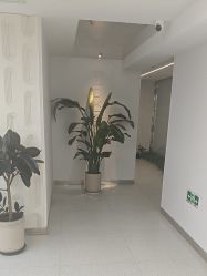 -魔型社烫染店