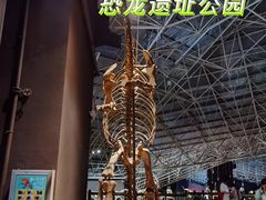 -世界恐龙谷景区