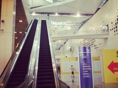 -东浩兰生上海世博展览馆