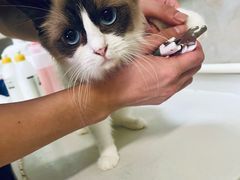 -沐沐家宠物(成寿寺店)