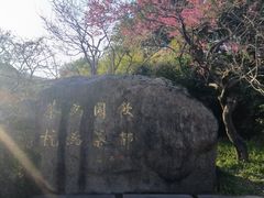 -中国茶叶博物馆(双峰馆区)